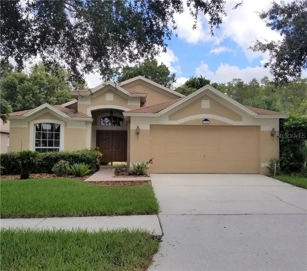 19743 Ellendale Drive Land O Lakes FL 34638
