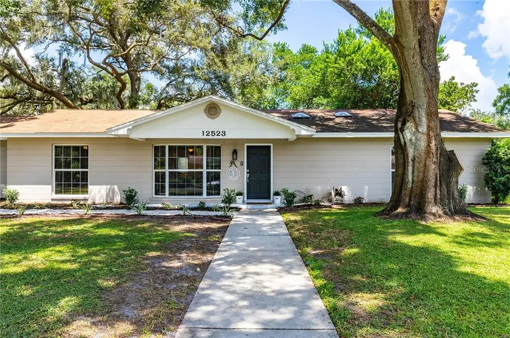 12523 Saint Charlotte Drive Tampa FL 33618