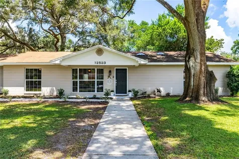 12523 Saint Charlotte Drive Tampa FL 33618