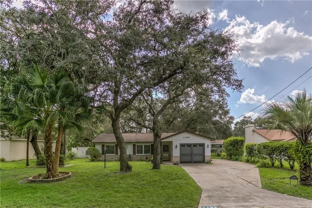 1193 Desmond Avenue Spring Hill FL 34608
