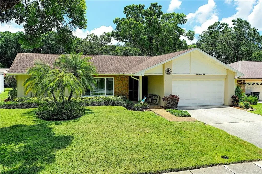 3204 Macgregor Drive Palm Harbor FL 34684