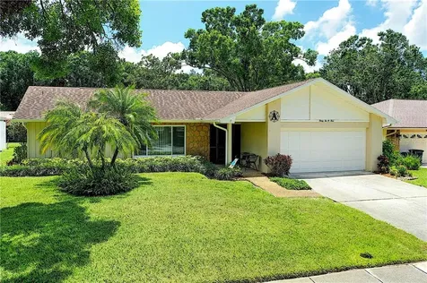 3204 Macgregor Drive Palm Harbor FL 34684