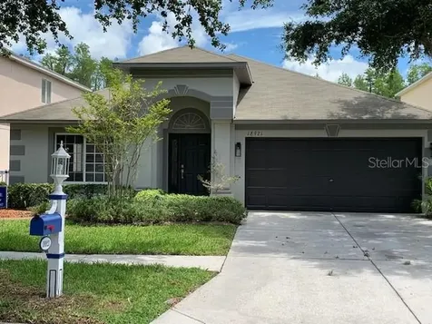 18921 Fishermans Bend Drive Lutz FL 33558