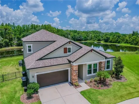 30107 Blue Mound Court Wesley Chapel FL 33543
