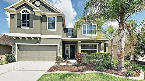 20208 Natures Spirit Drive Tampa FL 33647