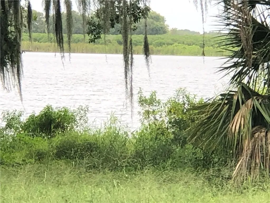 755 S Buena Vista Drive Lake Alfred FL 33850