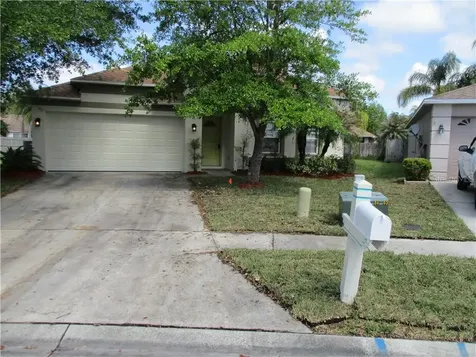 1339 Crimson Clover Lane Wesley Chapel FL 33543