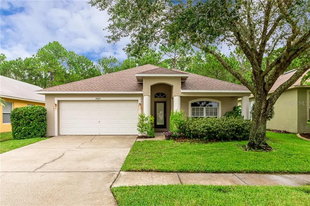 14645 Corkwood Drive Tampa FL 33626