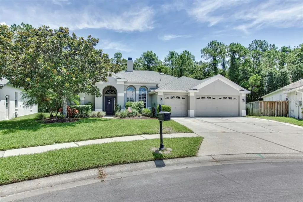 10703 Ayrshire Drive Tampa FL 33626