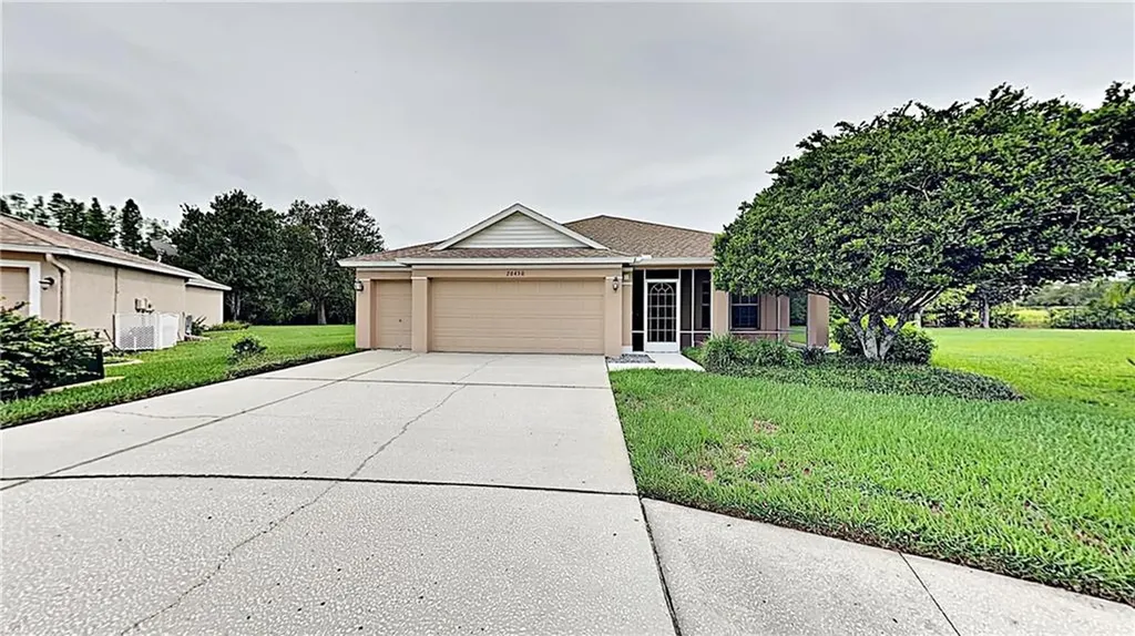 20430 Homossasa Court Land O Lakes FL 34637