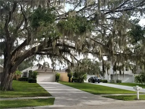 30208 Double Drive Wesley Chapel FL 33545