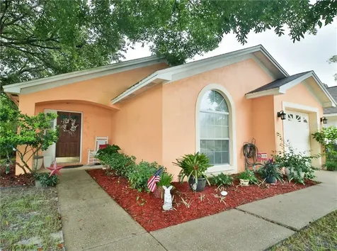10166 Cedar Dune Drive Tampa FL 33624