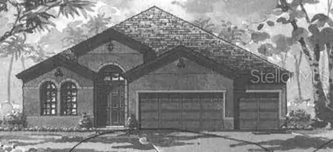 8212 Water Color Drive Land O Lakes FL 34638
