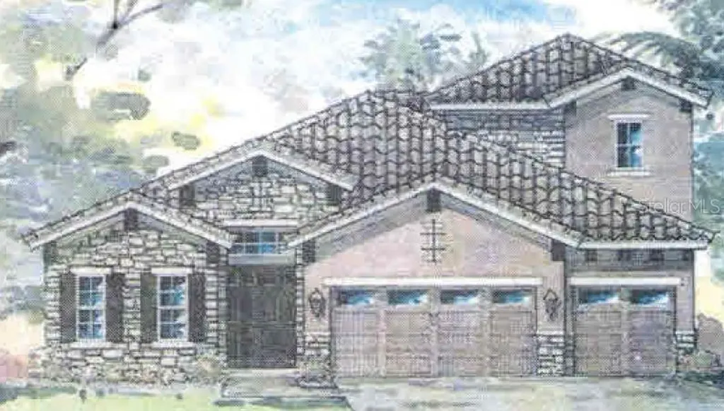 6695 Sunset Vista Way Land O Lakes FL 34637