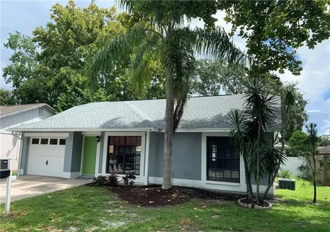 9518 Baytree Court Tampa FL 33615