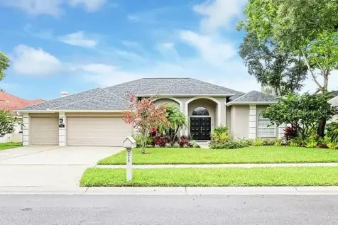 774 Belted Kingfisher Drive N Palm Harbor FL 34683