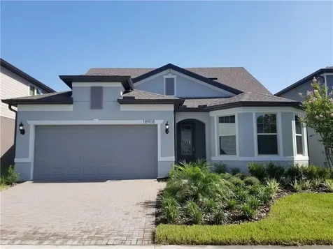 18908 Willowmore Cedar Drive Lutz FL 33558