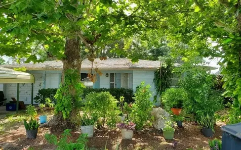10934 Hillcrest Avenue Port Richey FL 34668