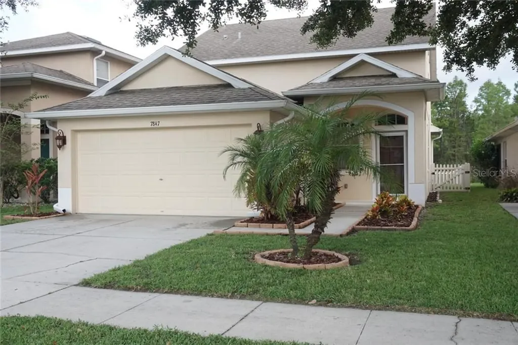 7847 Foxgrove Drive Land O Lakes FL 34637