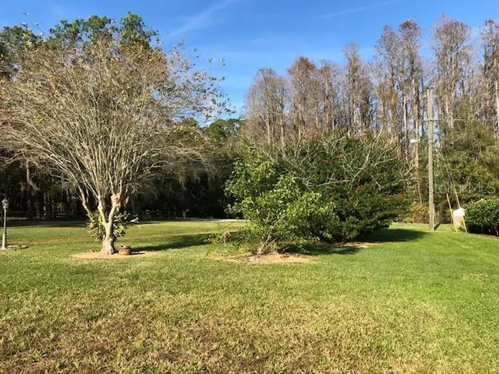 5335 Conner Drive Land O Lakes FL 34639