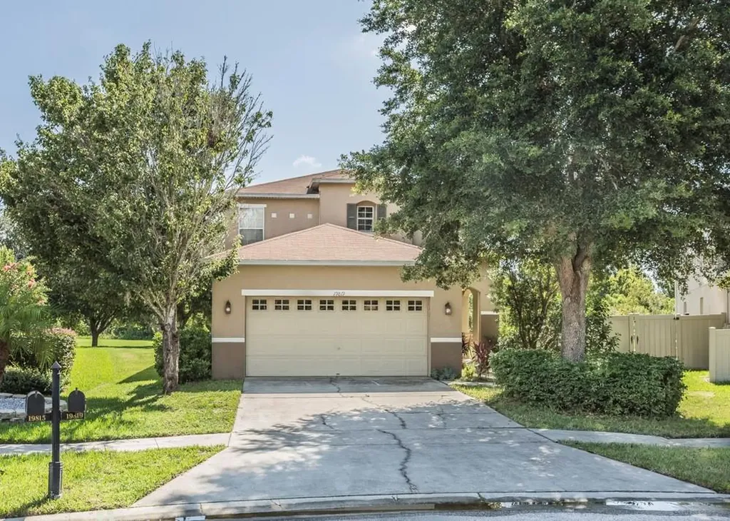 19819 Timberbluff Drive Land O Lakes FL 34638