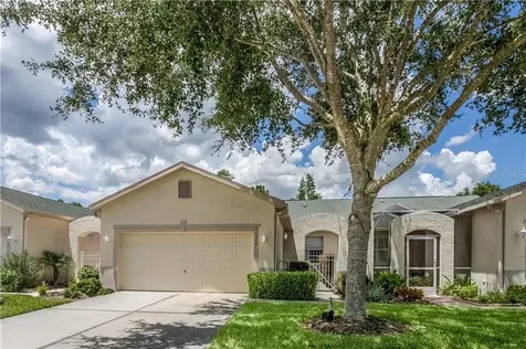 21324 Diamonte Drive Land O Lakes FL 34637