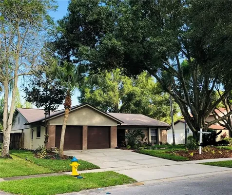 16223 Bonneville Drive Tampa FL 33624