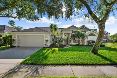 12426 Seabrook Drive Tampa FL 33626