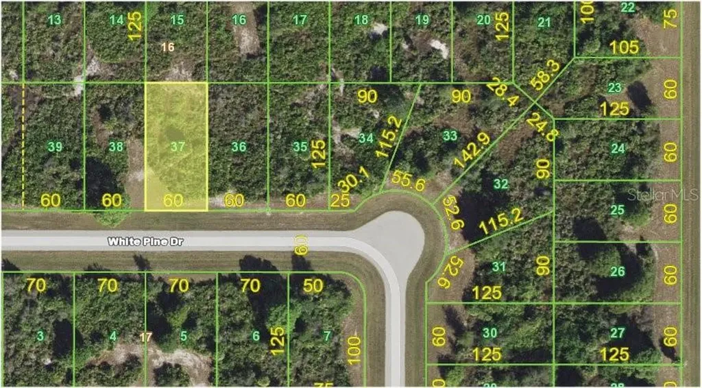 118 White Pine Drive Rotonda West FL 33947