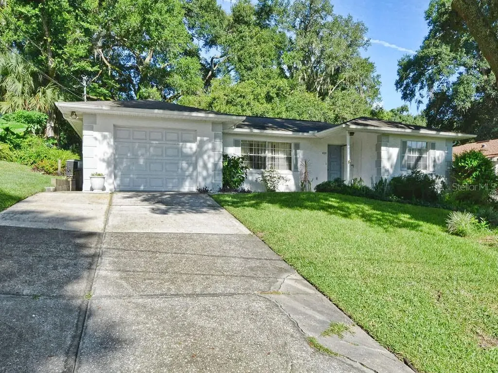423 N Rossiter Street Mount Dora FL 32757