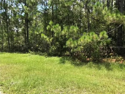 1703 Hidden Palms Drive Davenport FL 33897