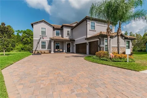 19119 Shalott Court Land O Lakes FL 34638