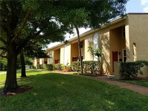 4311 La Vera Court Tampa FL 33611