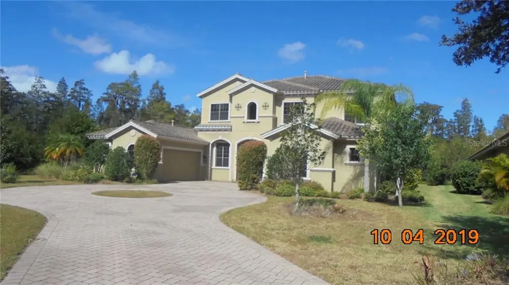 1515 Amarone Place Lutz FL 33548