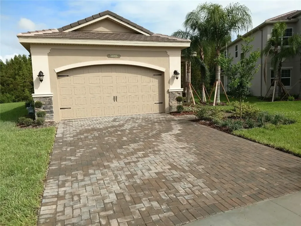 31086 Lindentree Drive Wesley Chapel FL 33543