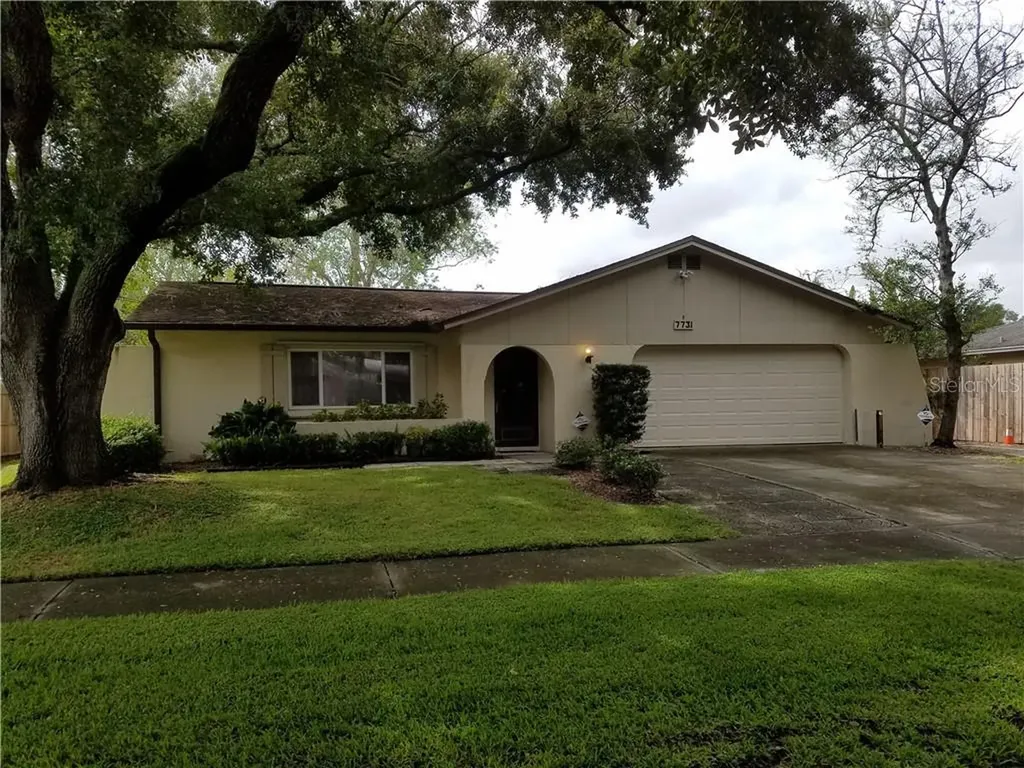 7731 Hinsdale Drive Tampa FL 33615