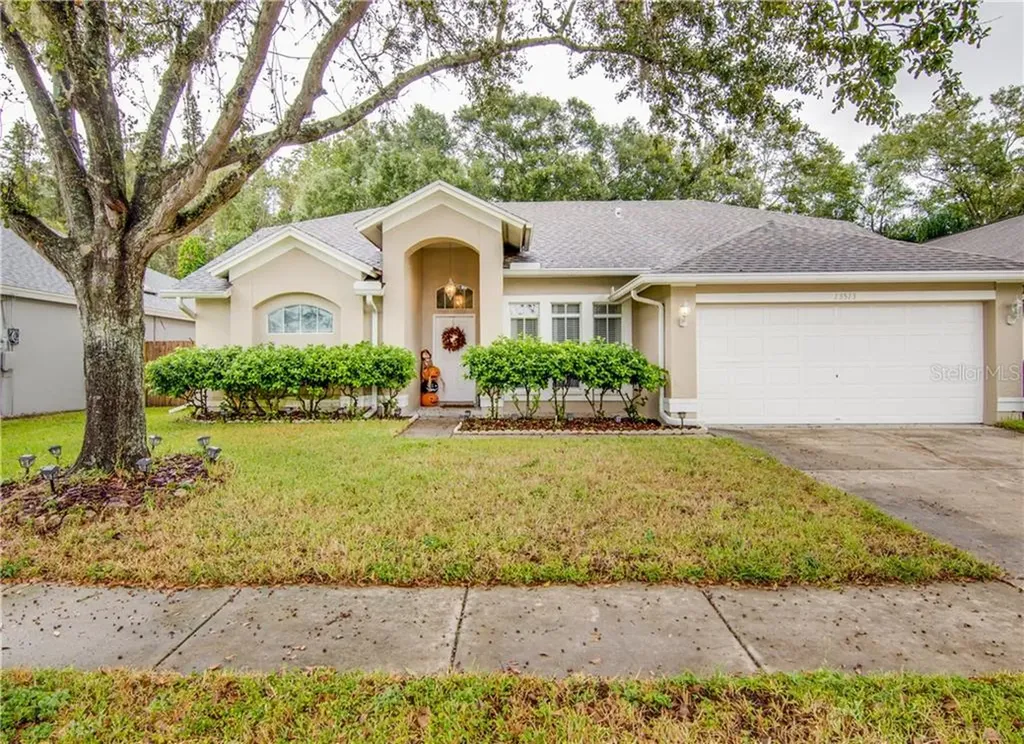 13513 Ironton Drive Tampa FL 33626