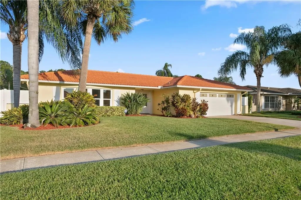 3923 Doral Drive Tampa FL 33634