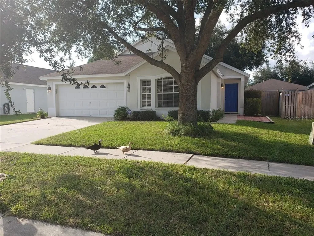 24403 Mistwood Court Lutz FL 33559