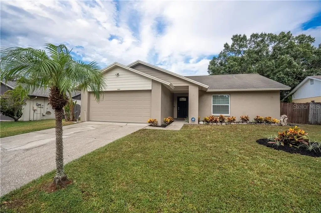 11023 Ashbourne Circle Tampa FL 33624