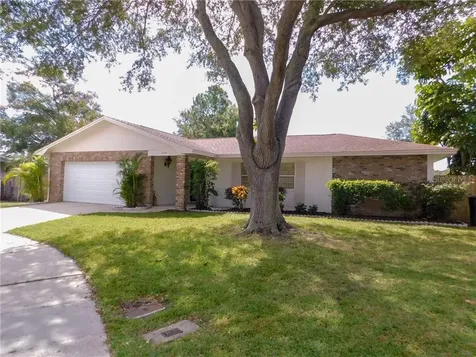 2229 Dana Court Dunedin FL 34698