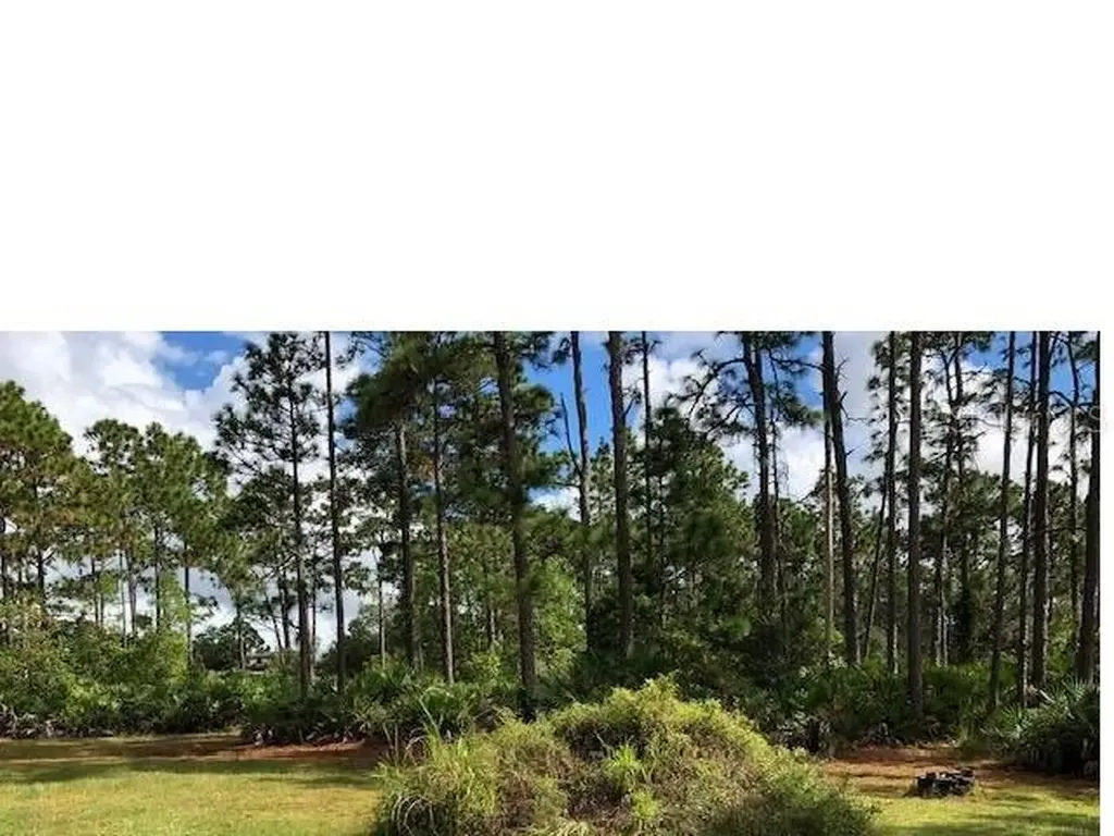 4135 Benedict Avenue Orlando FL 32833