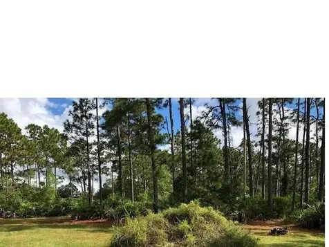 4135 Benedict Avenue Orlando FL 32833