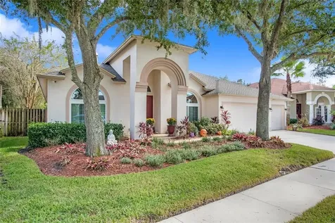 19217 Wind Dancer Street Lutz FL 33558