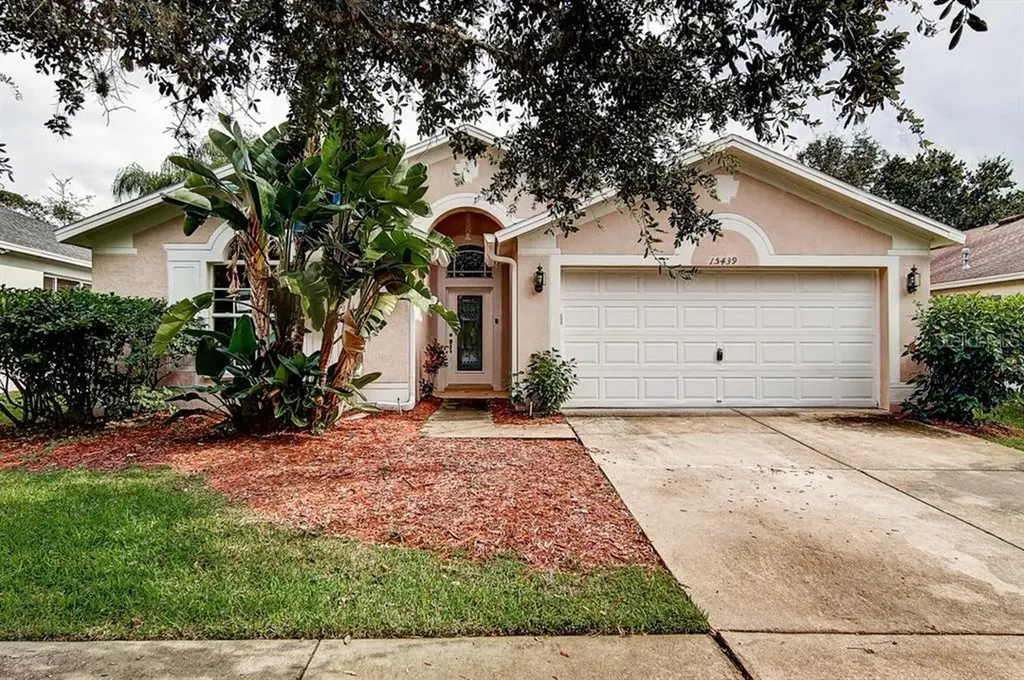 15439 Martinmeadow Drive Lithia FL 33547