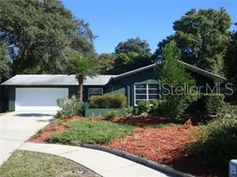 3555 Glossy Ibis Court Palm Harbor FL 34683