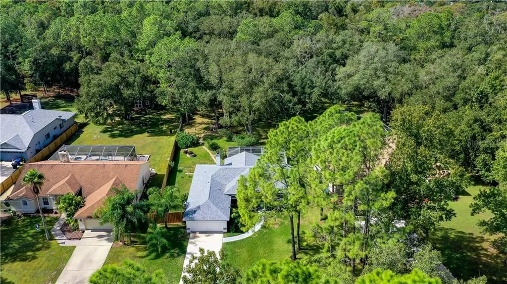 5409 Swallow Drive Land O Lakes FL 34639
