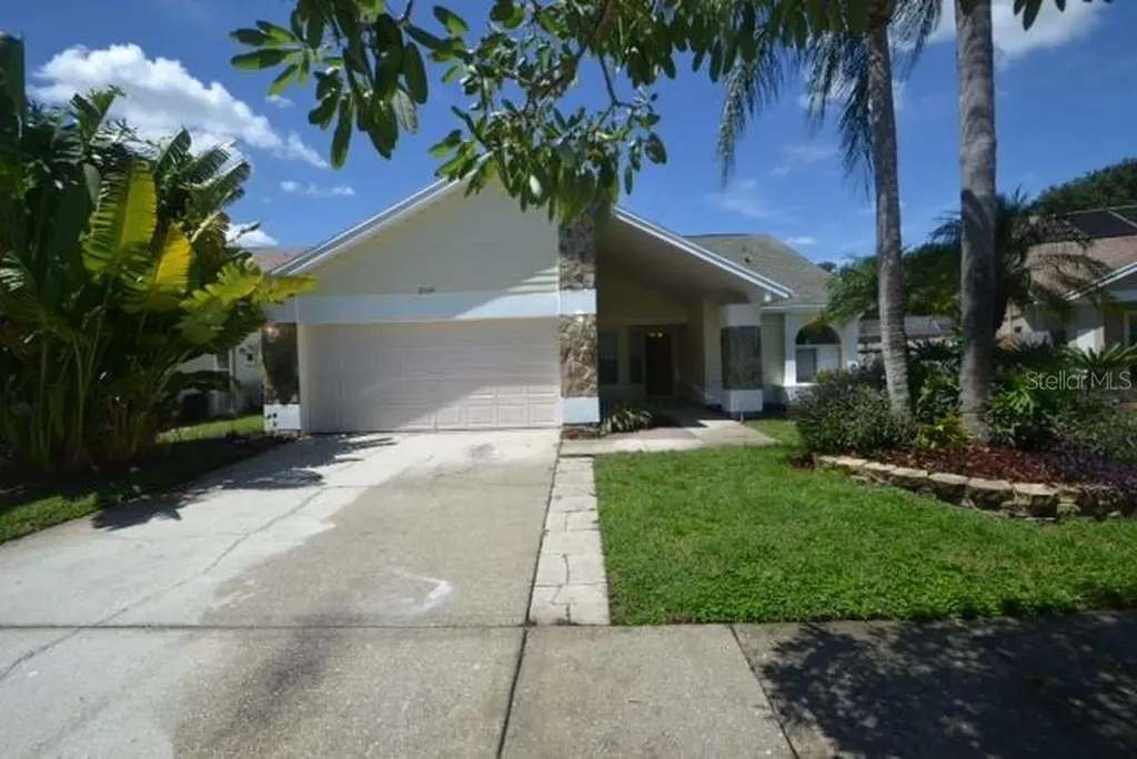 8729 Boysenberry Drive Tampa FL 33635