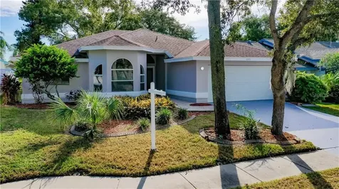 4859 Harbor Woods Drive Palm Harbor FL 34683