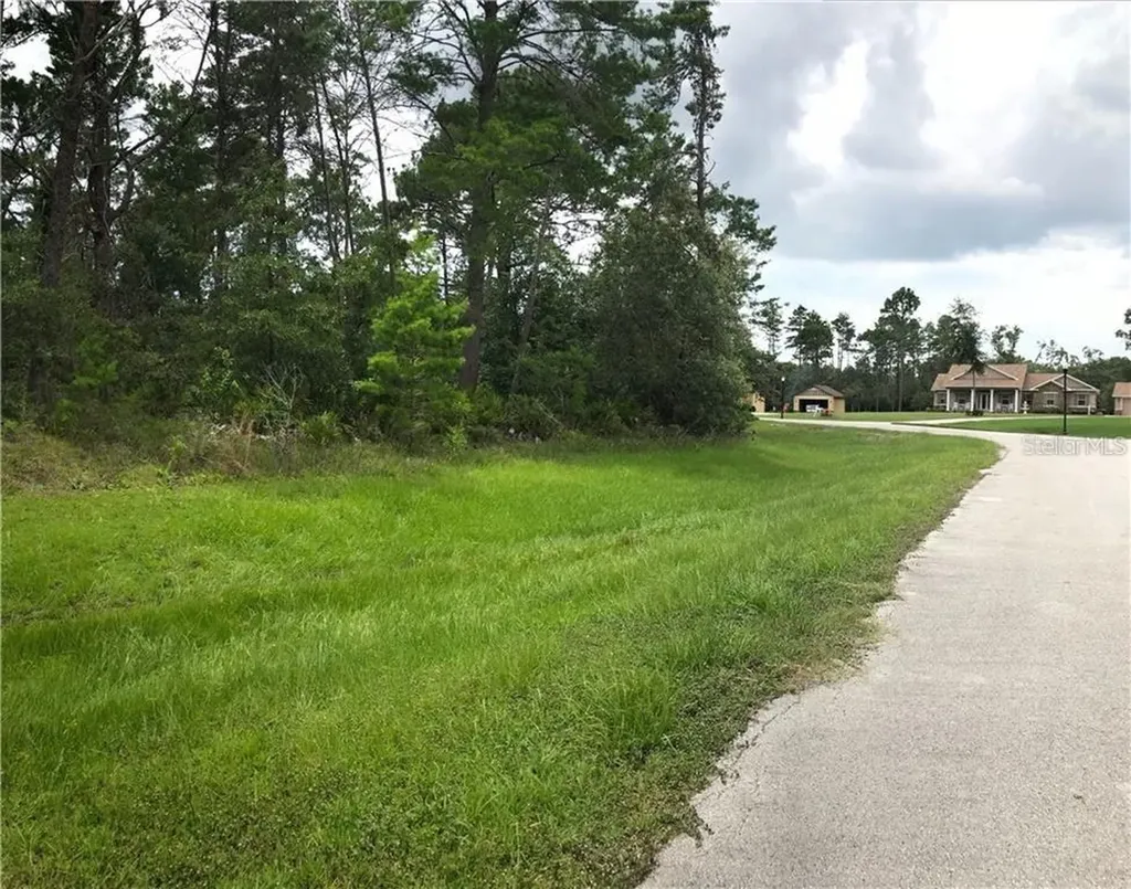 13915 Sand Oak Court Hudson FL 34669